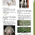 Love Laundry Magazine 052 Dec2025_ 122329