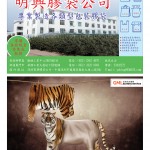 Love Laundry Magazine 052 Dec2025_ 122331